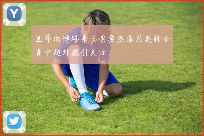 里昂向博塔弗戈索要热菲尼奥转会费中超外援引关注
