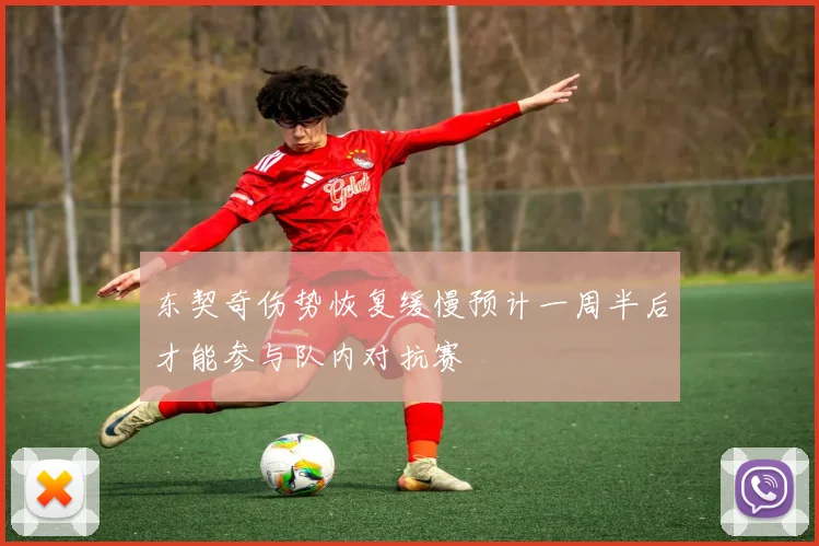 东契奇伤势恢复缓慢预计一周半后才能参与队内对抗赛